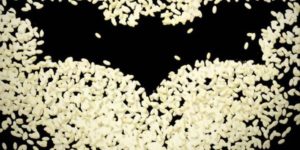 The Dark Knight Rices.