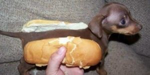 Hot dog.