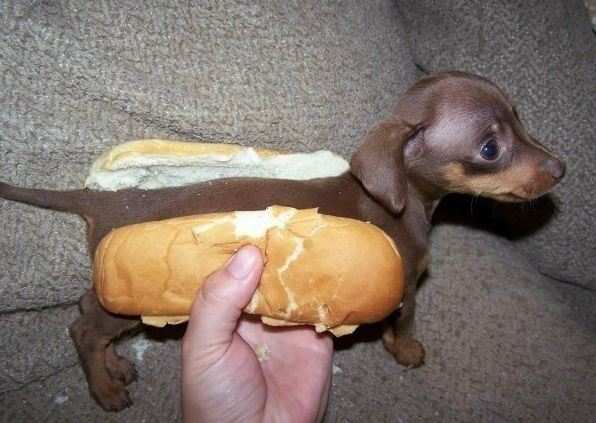 Hot dog.