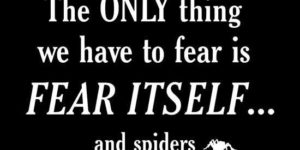 Fear…. and spiders.