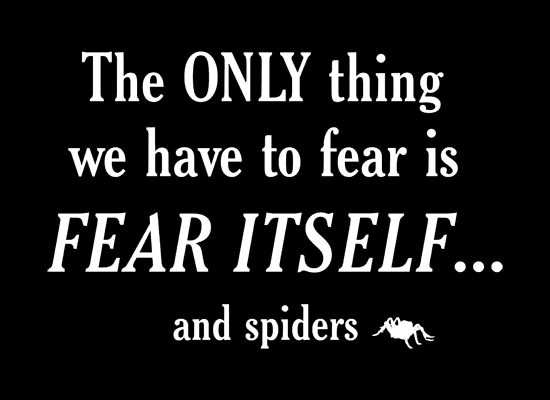 Fear.... and spiders.