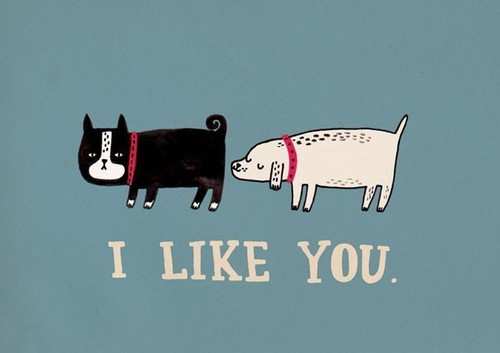 I like you.