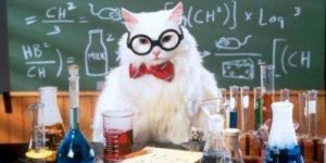 Chemistry cat.