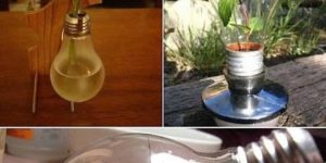 Creative light bulbs.