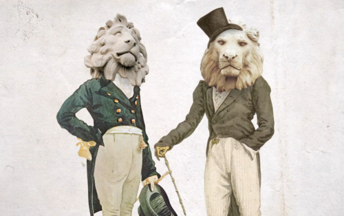 Dandy lions.