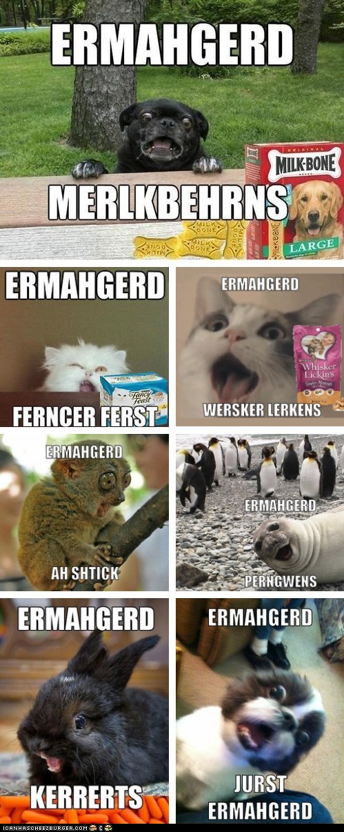 Ermahgerd...