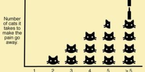 Number of cats it takes to make the pain go away.