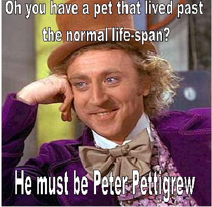 He must be Peter Pettigrew.