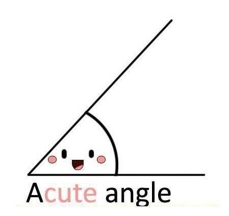 A cute angle...