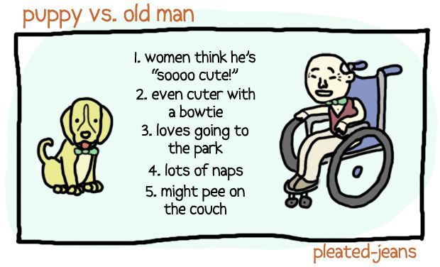 Puppy vs. old man.
