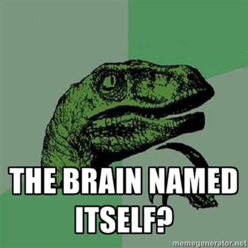 The brain named itself?