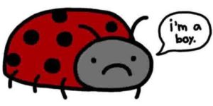 How to upset a ladybug.