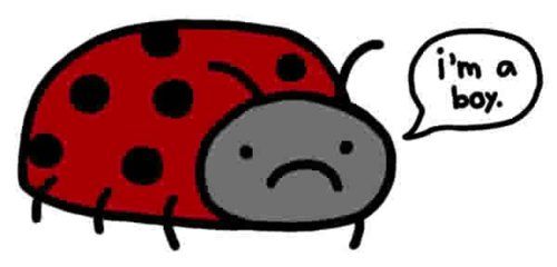 How to upset a ladybug.