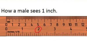 An inch.