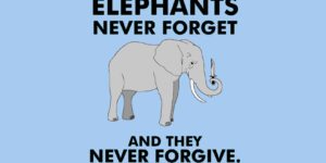 Elephants never forget…