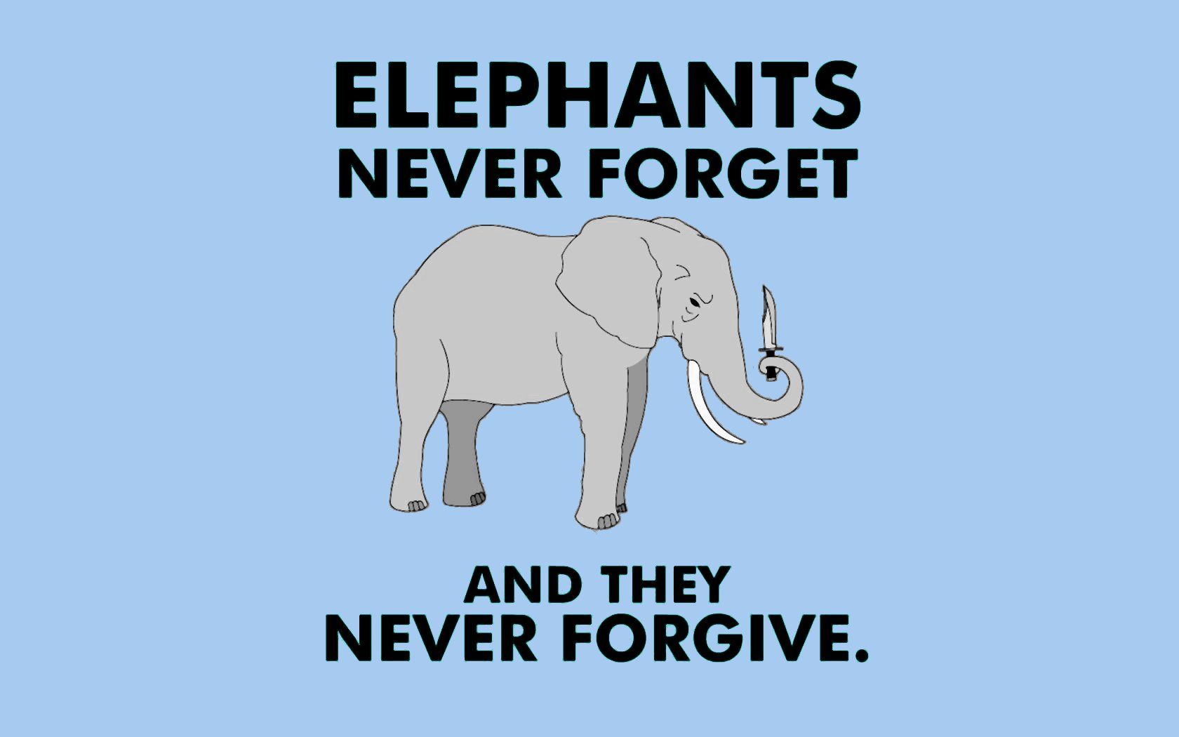 Elephants never forget...