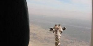 Flying over Africa.