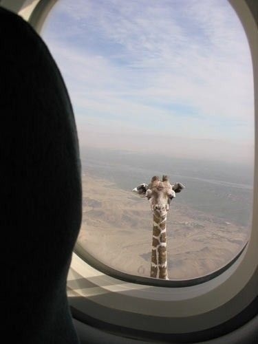 Flying over Africa.