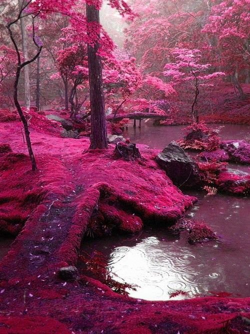 Bridges park - Ireland.