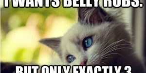 I wants belly rubs…