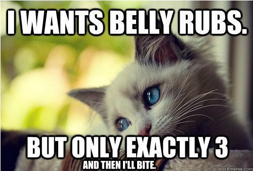 I wants belly rubs...