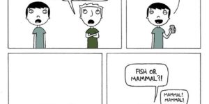 Fish or mammal?!
