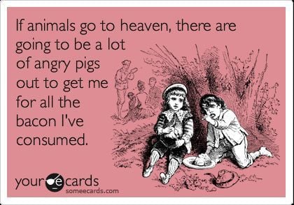 If animals go to heaven...