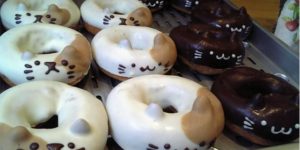 Kitteh doughnut.