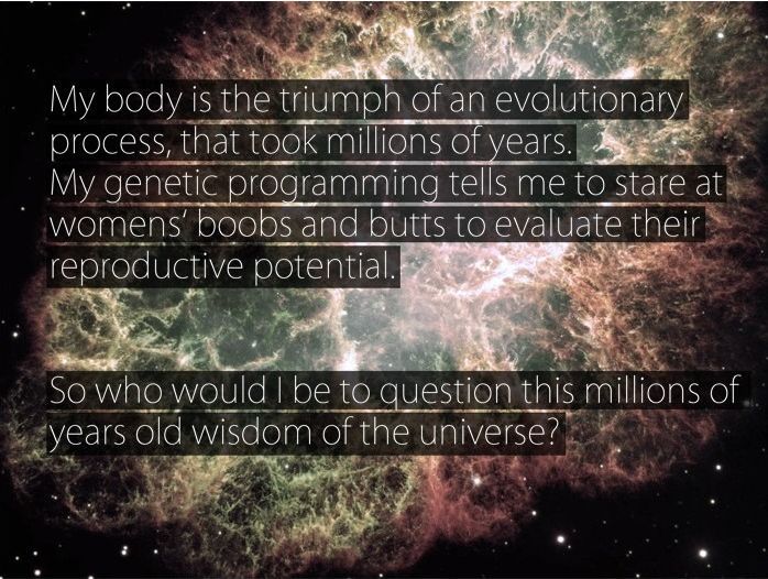 Don't fight the universe.
