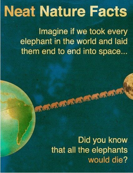 Neat nature facts.