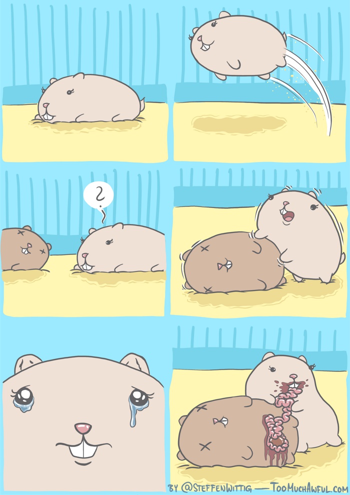 Just hamster things.