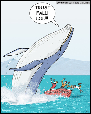 Whales are jerks.