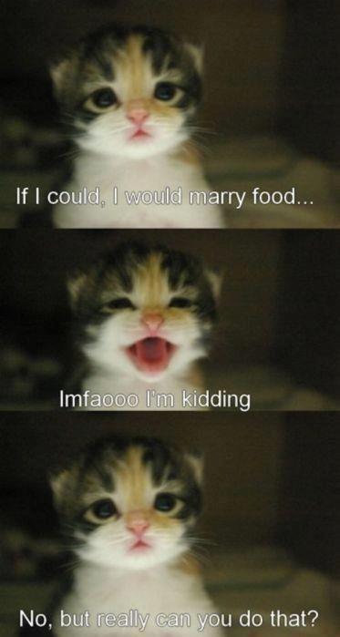 If I could, I would marry food.
