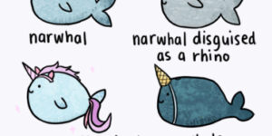 Narwhal are cooler than expected.