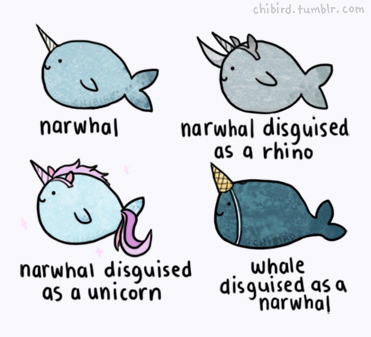 Narwhal are cooler than expected.