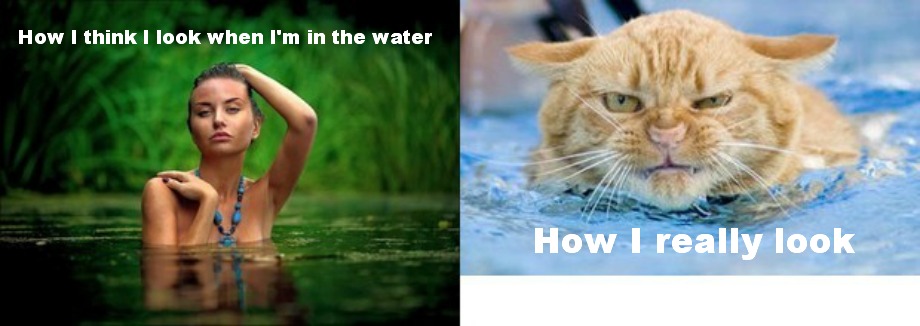 How I think I look in the water.