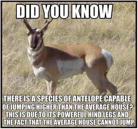 The more you know.
