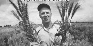 Norman Borlaug – spawn of the devil.