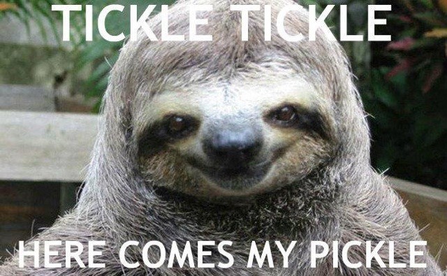 Tickle tickle...