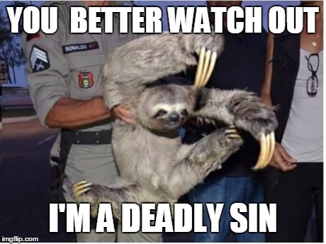 Ninja Sloth