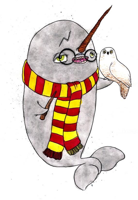 Yer a Narwhal Harry!