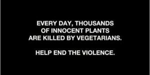 Help end the violence.