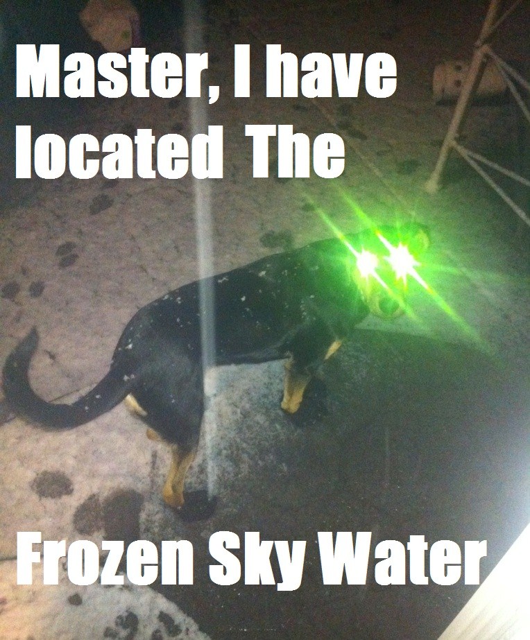 Alien dog finds snow.