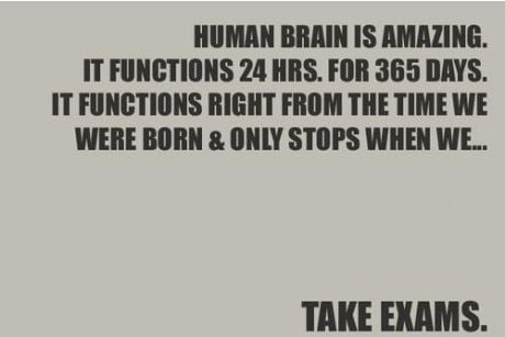 The brain is amazing...