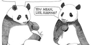 Silly pandas…