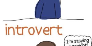 Extrovert vs. introvert.