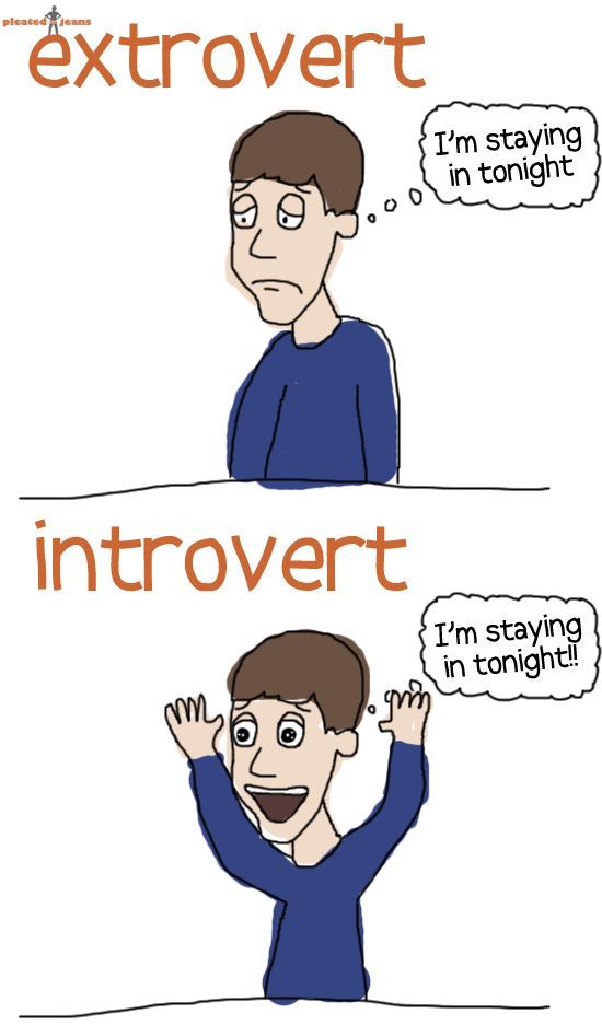 Extrovert vs. introvert.