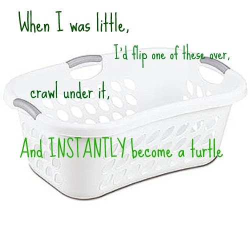 Instant turtle.