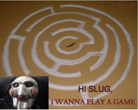 Hi slug.