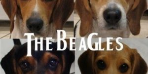 The Beagles.
